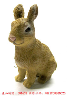 PROCON動物模型-白兔88002