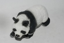 PROCON動物模型-小熊貓(站)88167