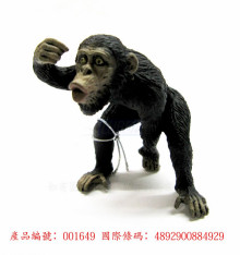 PROCON動物模型-母黑猩猩88492