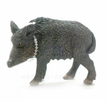 PROCON動物模型-母野豬88364