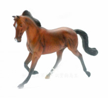 PROCON動物模型-純種母馬(棗紅色)88477