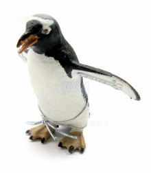 PROCON動物模型-巴布亞企鵝