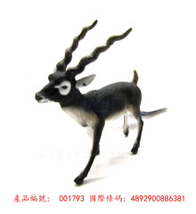 PROCON動物模型-印度黑羚