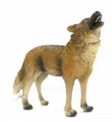 PROCON動物模型-森林狼88341