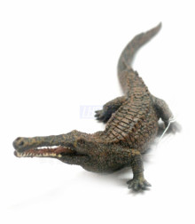 PROCON動物模型-帝王鱷88334