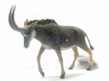 PROCON動物模型-羅馬羚羊(雌)R88578