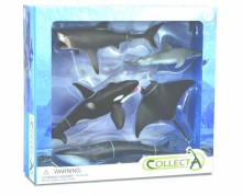 ＃海洋生物禮盒89870