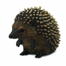刺蝟-PROCON動物模型