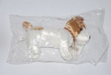 立姿史柏奇狗
