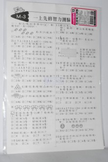 先修評量卷13 先修智力測驗