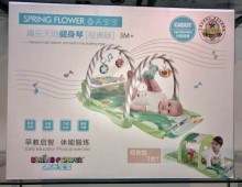趣樂天地健身琴