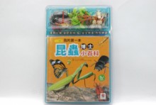我的第一本昆蟲博士小百科NEW