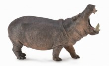 河馬-PROCON動物模型R88729