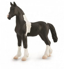 巴洛克品托小馬-PROCON動物模型