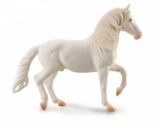 卡馬里奧公馬-PROCON動物模型R88876