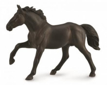 農聶斯公馬-PROCON動物模型R88878