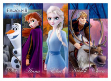 Frozen2冰雪奇緣2(6)拼圖108片