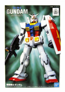 FG 1/144 FG-01
