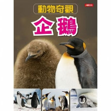 動物奇觀：企鵝 