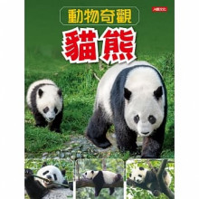 動物奇觀：貓熊