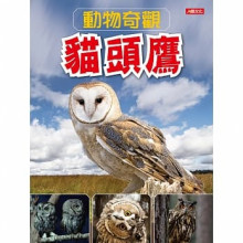 動物奇觀：貓頭鷹