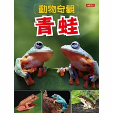 動物奇觀：青蛙