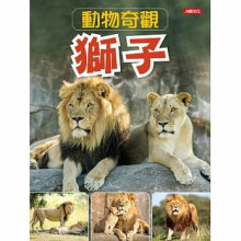動物奇觀：獅子