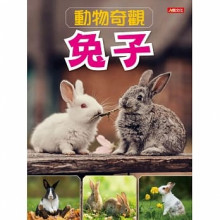 動物奇觀：兔子