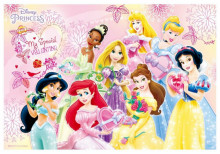 Disney Princess公主(7)拼圖300片