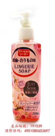 日本徐菌去污洗滌劑250G