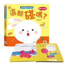 寶寶安全啟蒙玩具書：這能碰嗎？