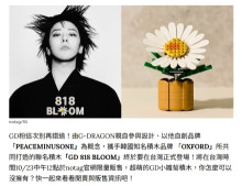 GD 818 BLOOM 聯名積木
